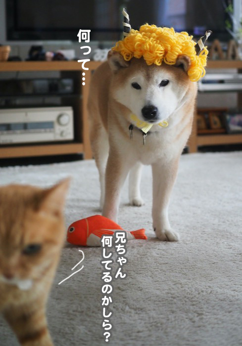 3日ブログ３