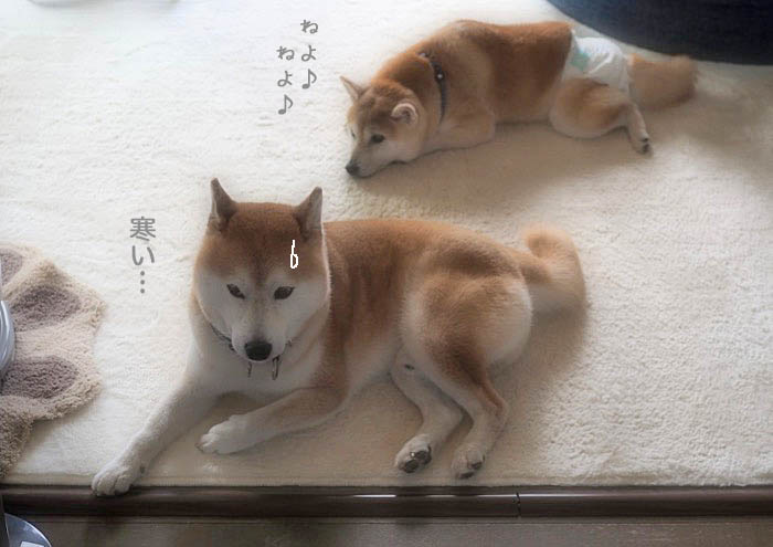8日夜ブログ9
