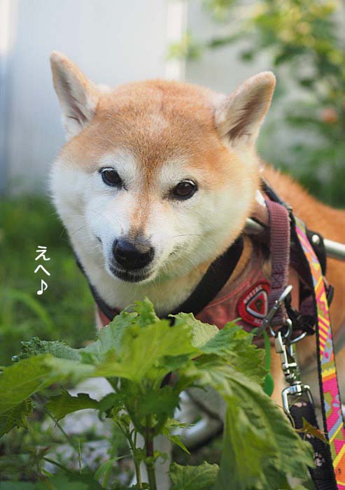 8日夜ブログ６