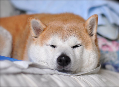 28日ブログ16.jpg