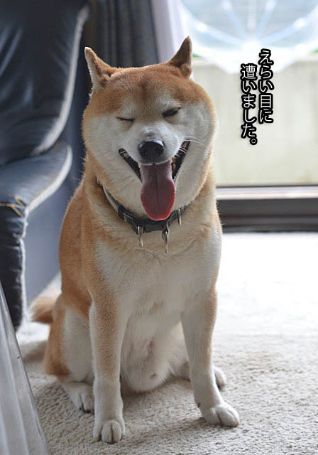 21日ブログ5