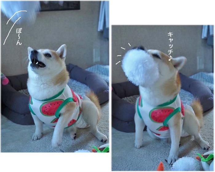 31日夕ブログ３