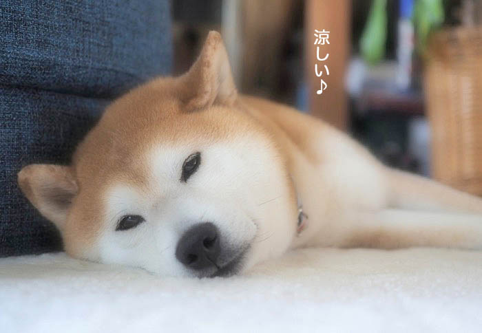 2日夜ブログ6