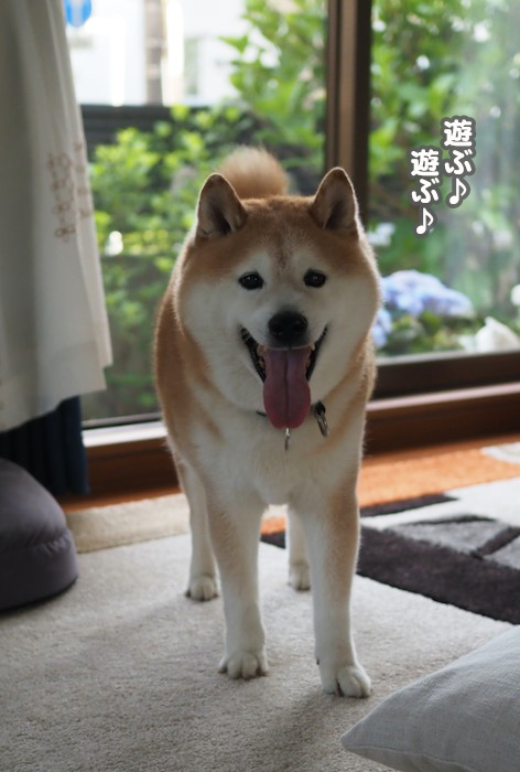 29日夕ブログ２