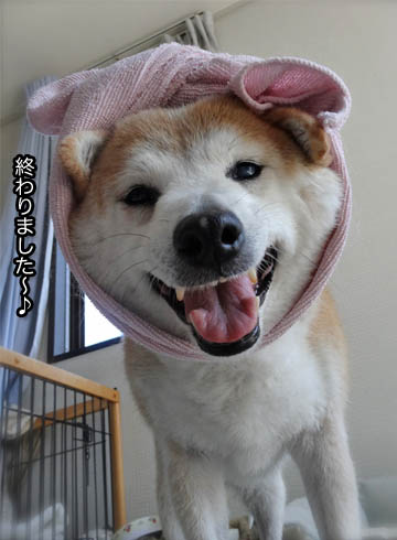 28日ブログ3.jpg