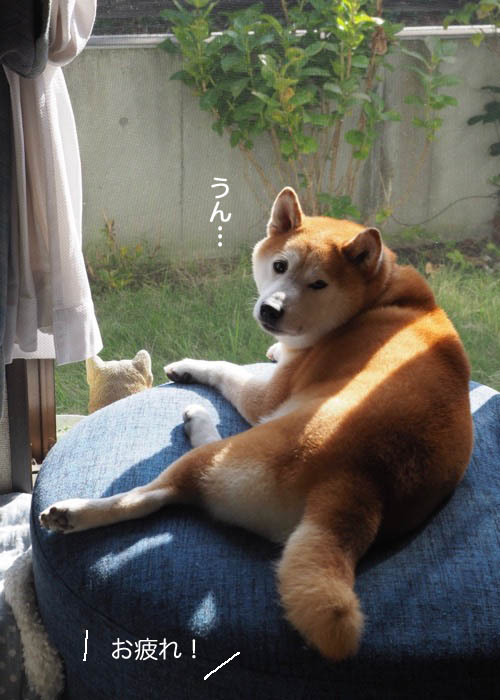 3日夜ブログ２