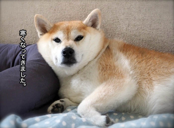 27日夜ブログ２