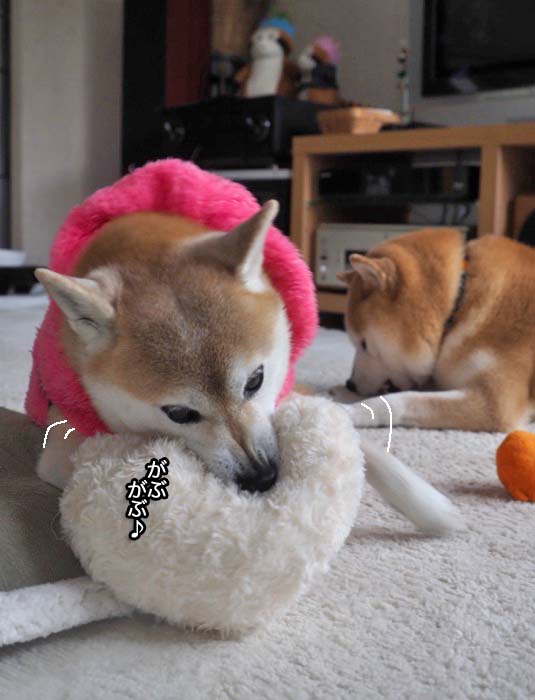 19日夜ブログ５