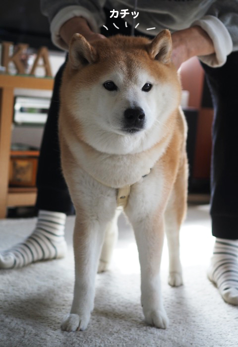 20日夕ブログ３