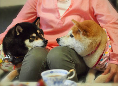 30日ブログ5.jpg