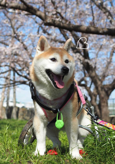 28日ブログ５