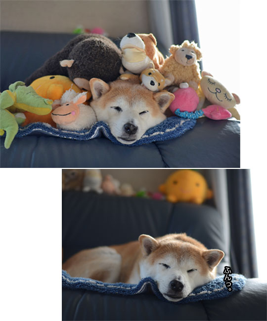 18日ブログ7.jpg