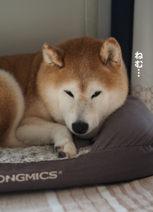 20日夕ブログ２