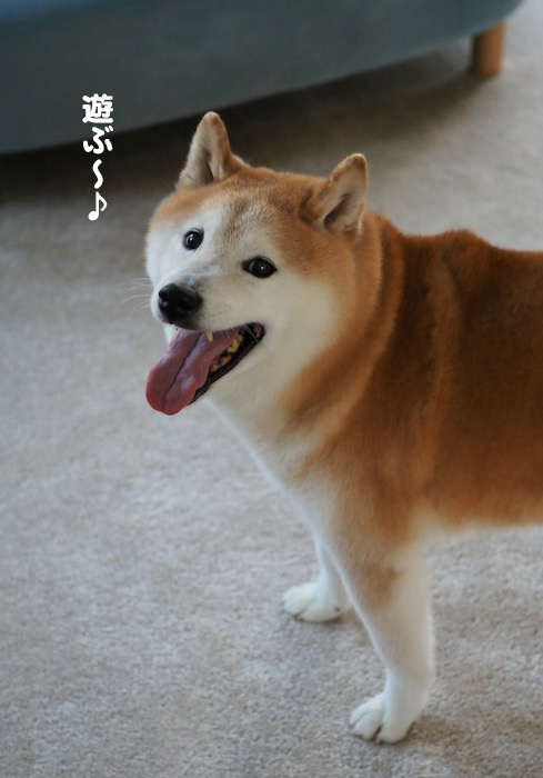 18日夕ブログ２