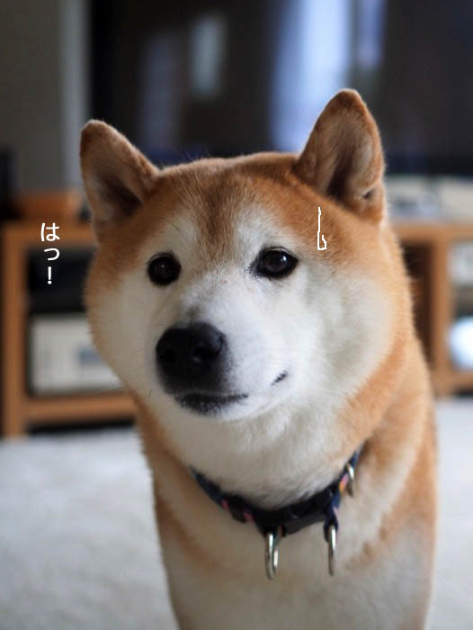16日夕ブログ２