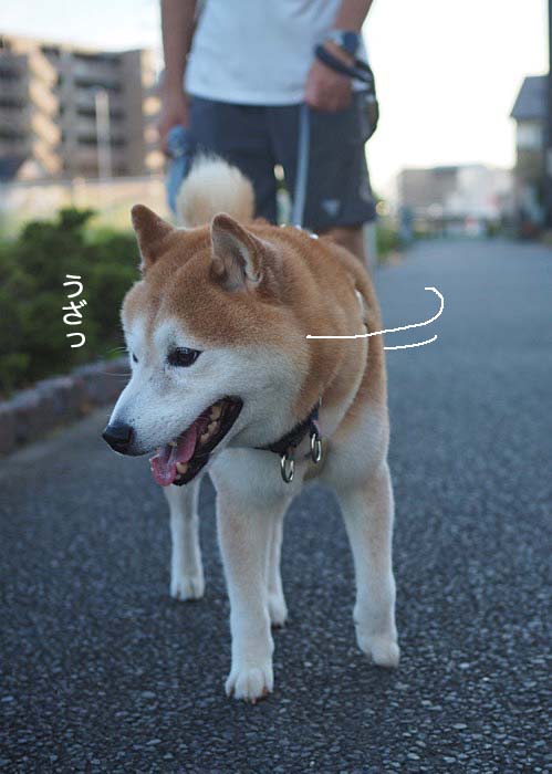27日ブログ７