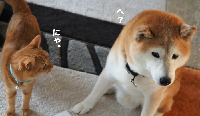 1日ブログ５