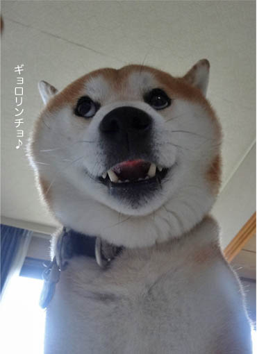 24日ブログ9.jpg