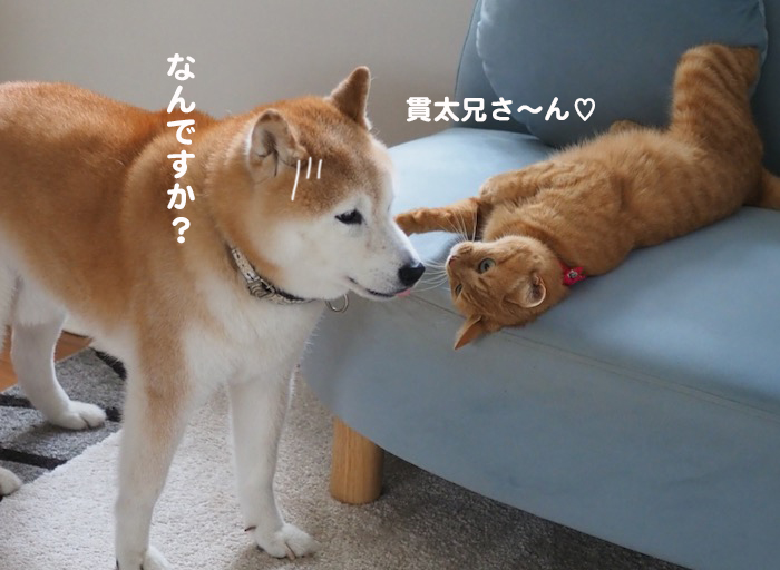 13日夕ブログ８