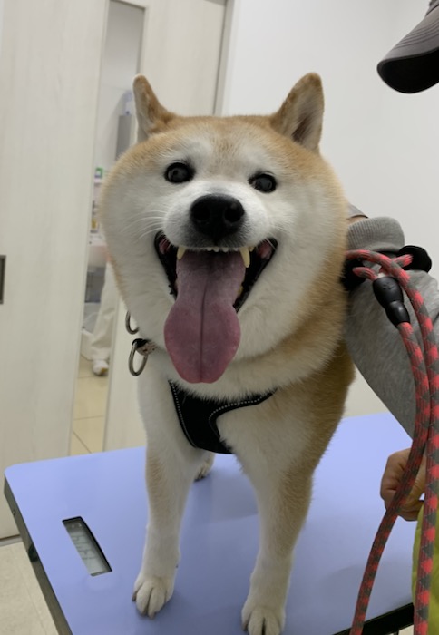 23日夕ブログ１１