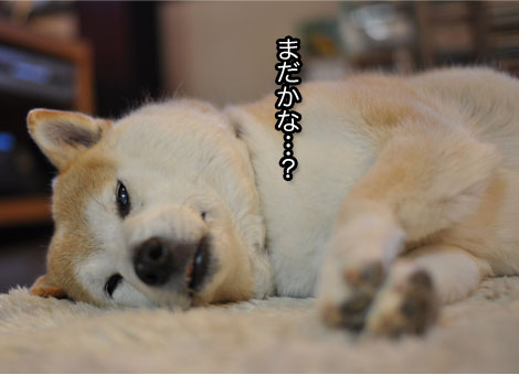 26日ブログ9.jpg