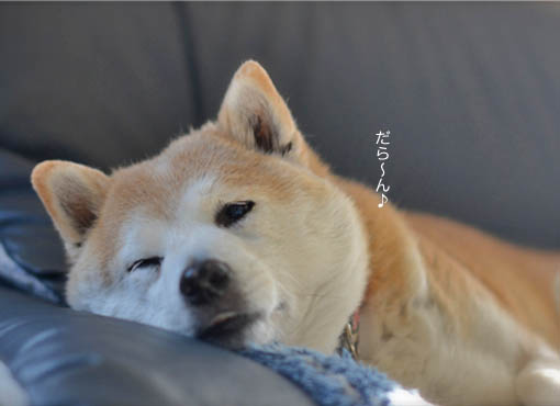 19日ブログ2.jpg