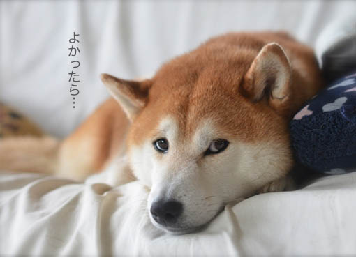 25日ブログ8.jpg