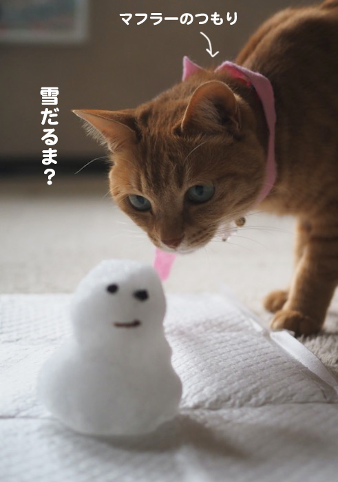 6日夕ブログ５