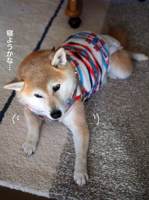 15日夜ブログ６