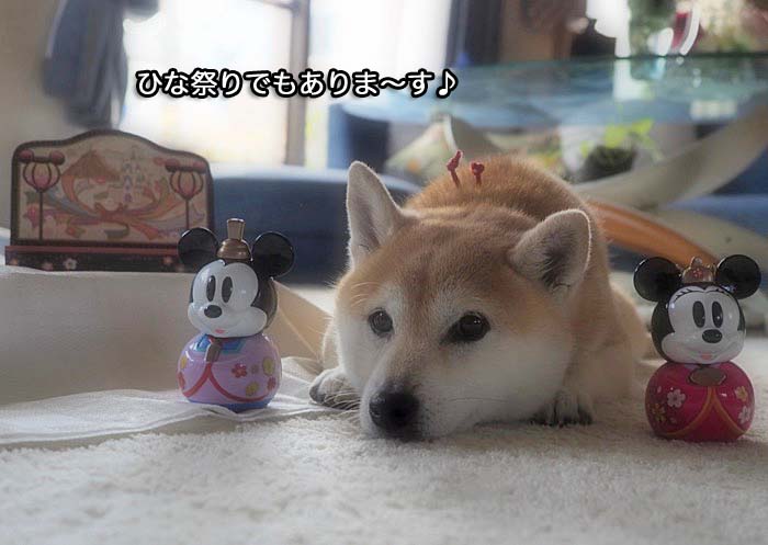 3日午後ブログ２