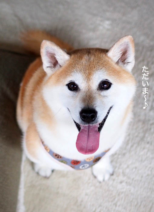 12日夜ブログ１１