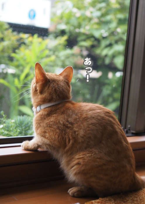 29日ブログ１