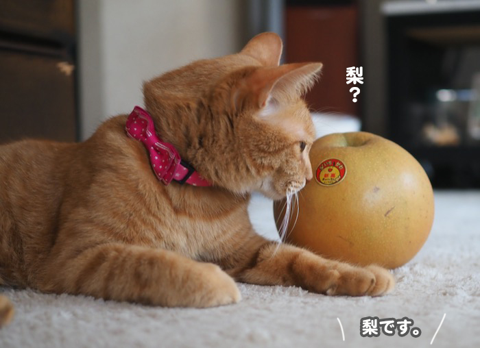 28日ブログ６