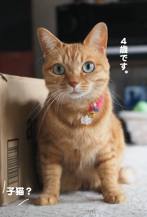 25日夕ブログ２