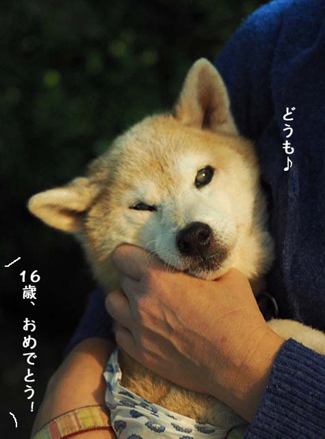 28日ブログ4