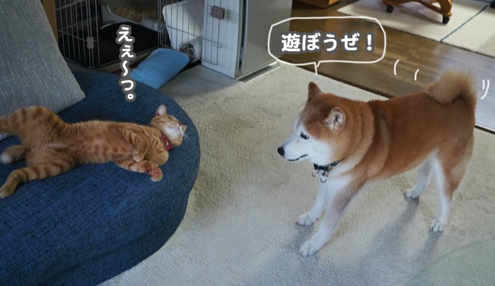 26日夕ブログ5