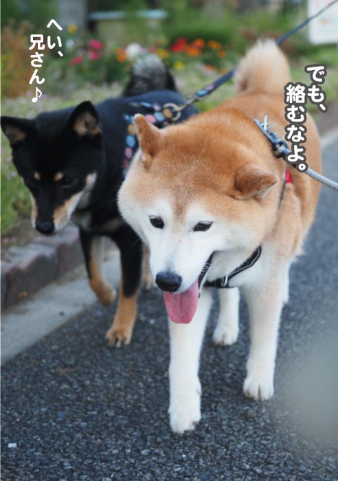12日夜ブログ５