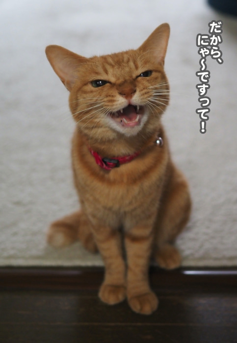 2日夕ブログ４