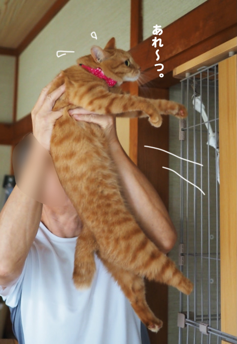 13日夕ブログ７