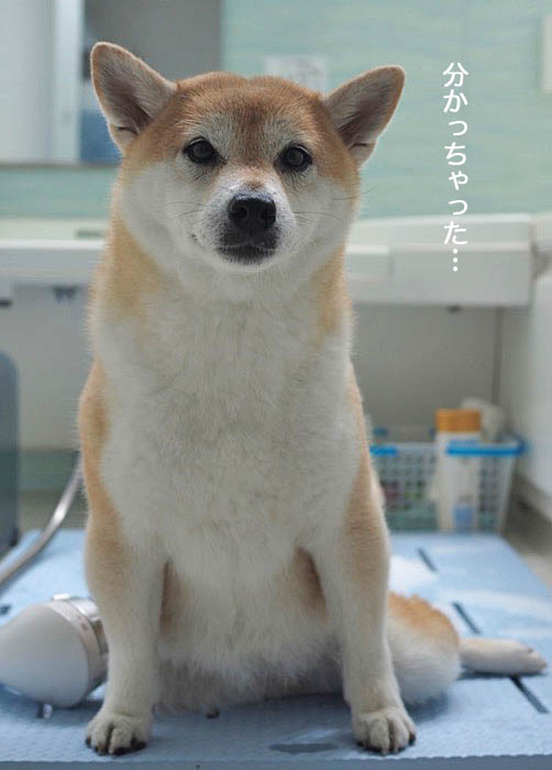 2日ブログ５