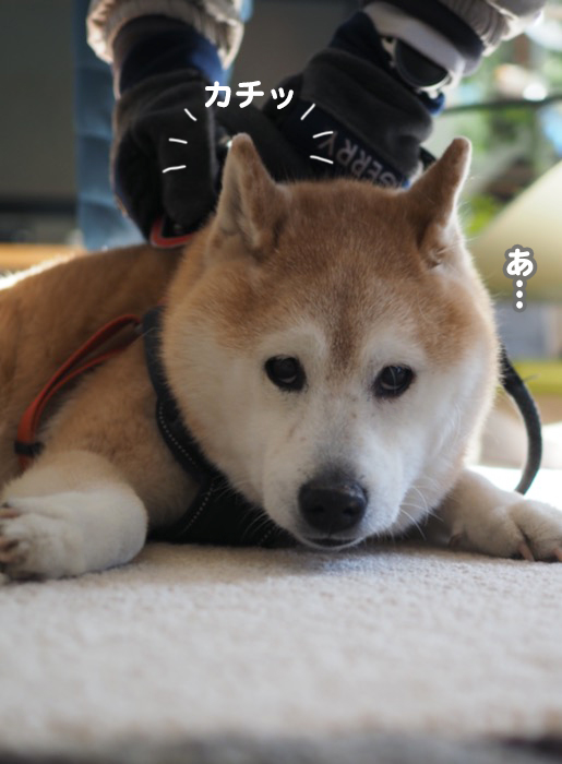 23日夕ブログ３