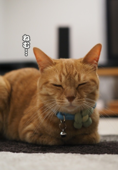 29日ブログ２