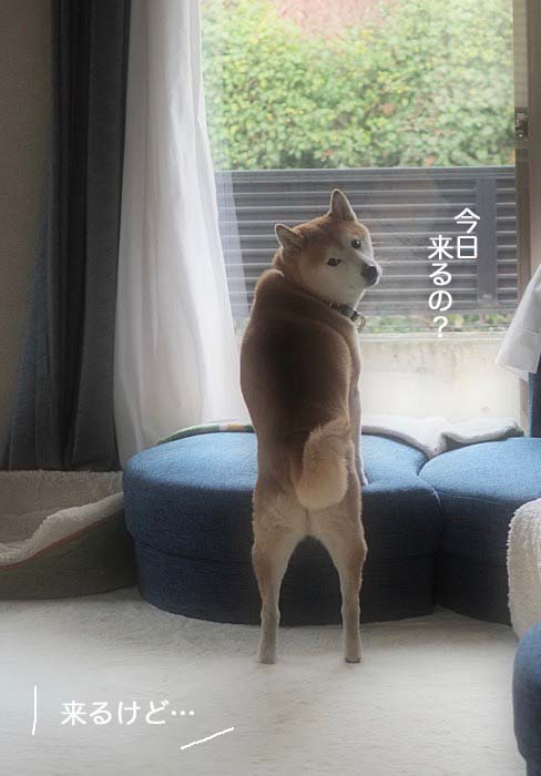 31日ブログ6