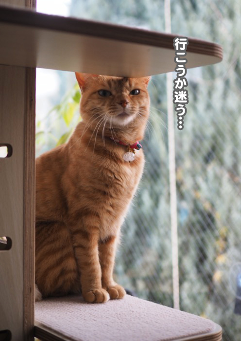 4日ブログ３