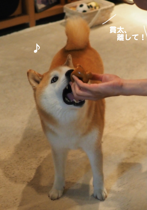 4日夜ブロ８
