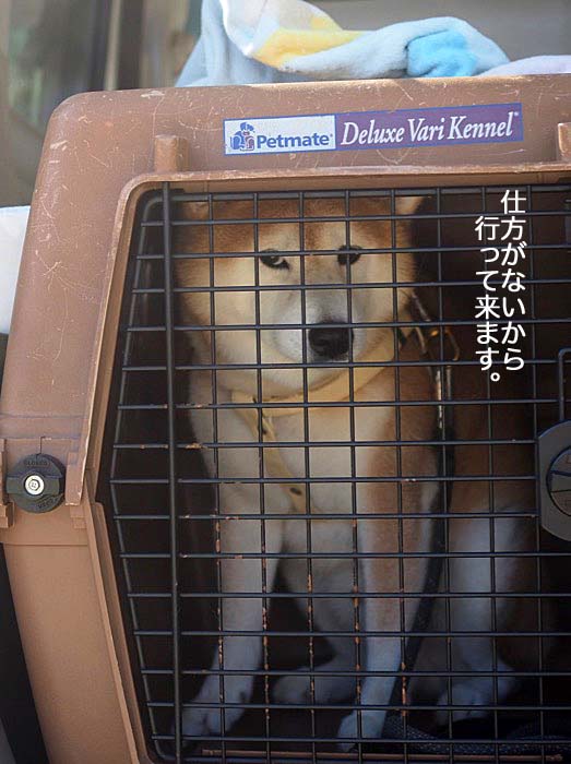5日午後ブログ６
