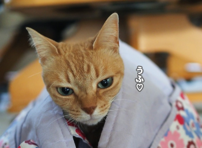 1日夕ブログ２