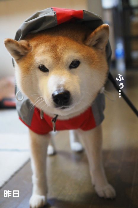 28日ブログ３