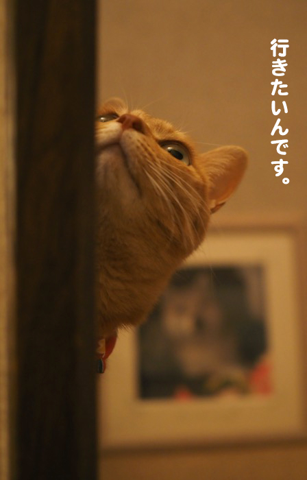 16日夕用ブログ4