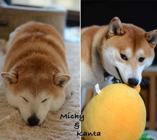 26日ブログ11.jpg